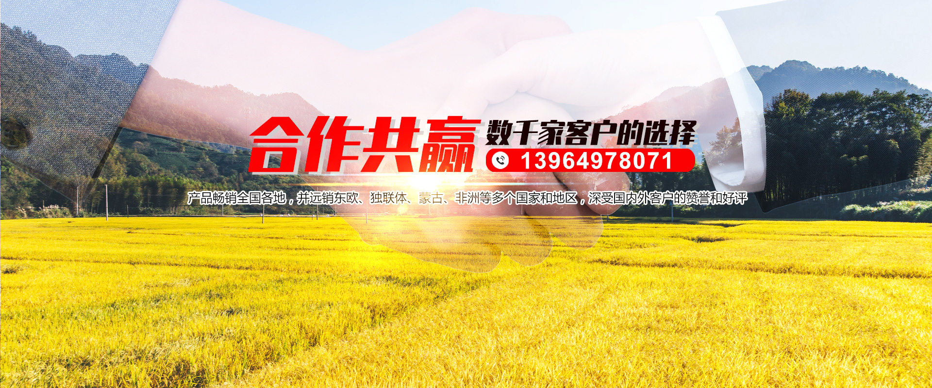 魚(yú)臺(tái)齊鑫化工有限公司